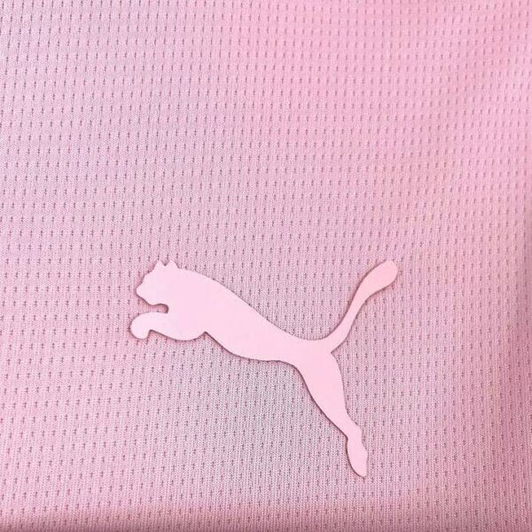 Palermo FC 2025-26 Home Jersey Fan Version - Image 6