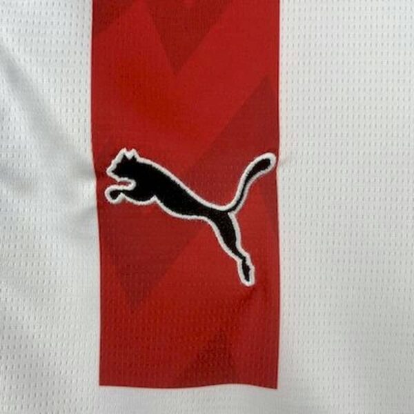 PSV Eindhoven 2025-26 Home Jersey Fan Version - Image 6